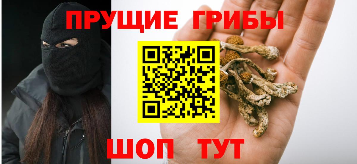 Галлюциногенные грибы Magic Shrooms Отрадное