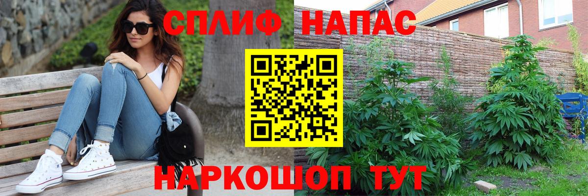 Конопля VHQ  Конопля индика  Вход с VPN  Отрадное 